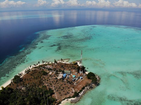 Data from 200+ games reveals which Smoothie Wars locations win most. Heat maps, turn-by-turn analysis & pivot timing. For serious players.